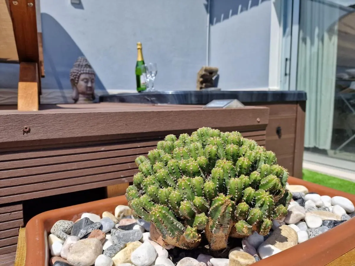 Appartement Duplex De 2 Habitaciones Y 2 Banos Y Con Jackuzzi Privado Tamaimo Espagne
